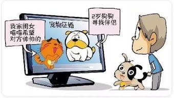 专业解读 宠物养护与驯导专业