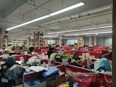 珍爱网负责人被约谈!76岁董事长现场道歉