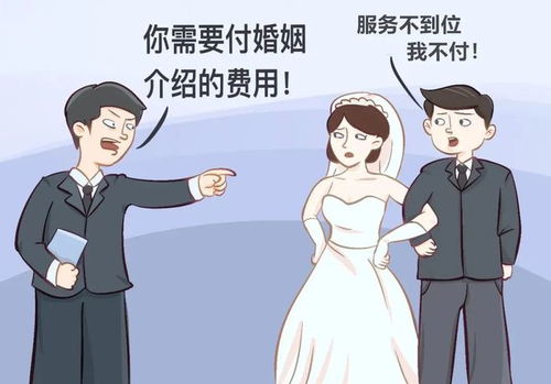 每周一案丨婚介公司服务不到位,男子拒付婚介费 法院这样判