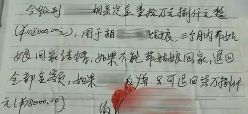 花22万娶越南新娘,一周后新娘跑路 法院判决中介全额退款