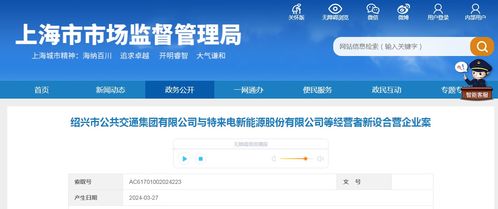 绍兴市公共交通集团与特来电新能源股份等经营者新设合营企业案分析