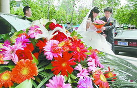 婚庆市场 看似繁华下的隐忧与婚姻介绍服务的转型之路