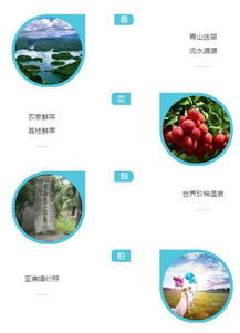 全广州居民可跨区登记结婚,三大区域特色服务甜到漏